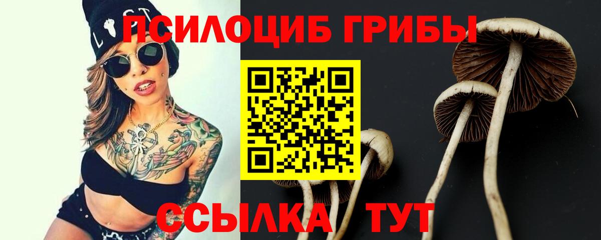 Евпатория  Галлюциногенные грибы GOLDEN TEACHER  Вход с VPN 